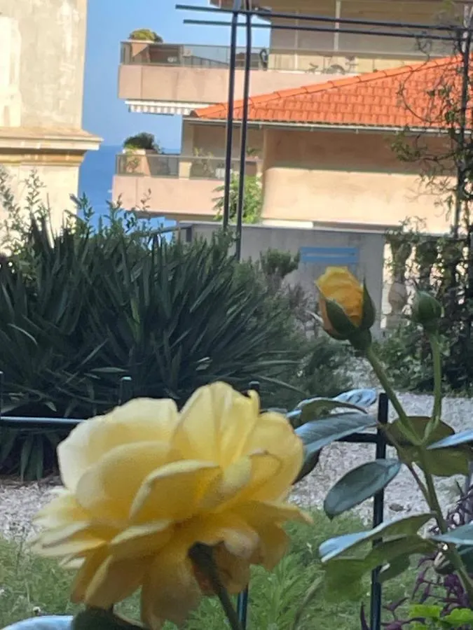 Daire Studio Jardin 5 Mn Plage Monaco Air Conditioner Beausoleil